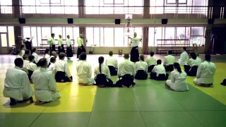 Aikido Stefan Stenudd seminar in Ukraine Uzgorod 10/2016 / 2 part