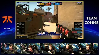 smooya: "never seen bald egg fly"