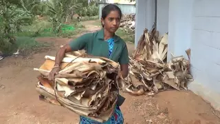 Areca Leaf plates making/Banana fibre extraction/Banana mat/coirpot making