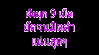 นิยายเสียง | ความสุขสูงสุด | นิยาย​เรื่องสั้น​จบ​ใน​ตอน​