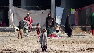 Fome agrava-se no Afeganistão. 17 milhões precisam de ajuda