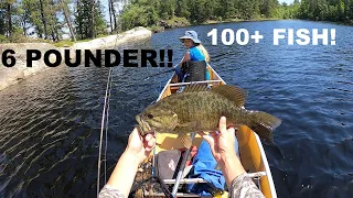 GIANT Smallmouth! 100+ Fish From a Canoe !! Boundary Waters Day 4