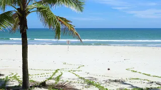 Tropical Beach Ambience - 10 Hours of Peaceful Ocean Waves, Blue Sky, White Sand, Palm Trees