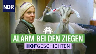 Zoff im Ziegengehege | Hofgeschichten: Leben auf dem Land (273) | NDR