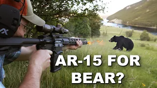 AR-15 For Bear Hunting?