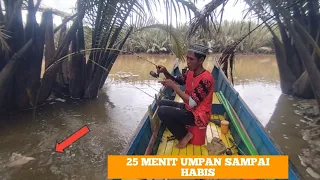 Di Kalimantan Ikan Ini Sangat Murah, Spot Ikan Hitam Licin.. #anakmahakamfishing