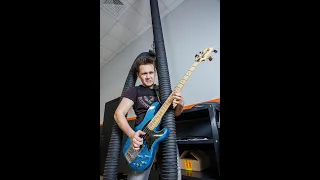 RHCP - Cant stop bass cover 2016