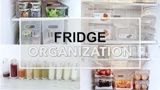 SIDE-BY-SIDE FRIDGE ORGANIZATION: Clean, Sort, Restock and Organize