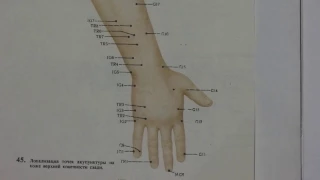 Местонахождение точки IG-4 Вань-Гу.