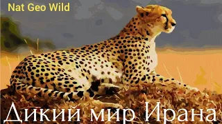 Nat Geo Wild.Дикий мир Ирана.