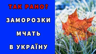 ДУЖЕ ХОЛОДНО? ПРОГНОЗ ПОГОДИ НА ЗАВТРА 8 ВЕРЕСНЯ