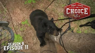 Alberta Bear'N Down on Bears! - The Choice (Full Episode) // S8: Episode 11