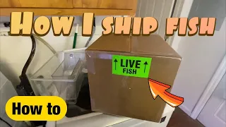 How I ship live fish through the mail