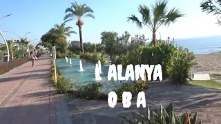 Alanya 19 ноября Прогулка в районе White Gold Hotel