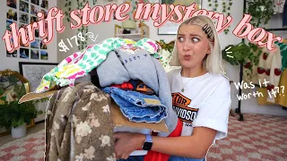 I spent $178 on a thrift store mystery box and it kind of shocked me!