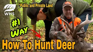 #1 Way To Hunt Deer