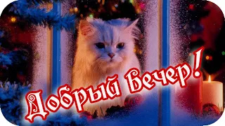 Добрый вечер!❤️ Пусть вечер подарит ощущение счастья!❤️ Красивое пожелание❤️Good evening❤️