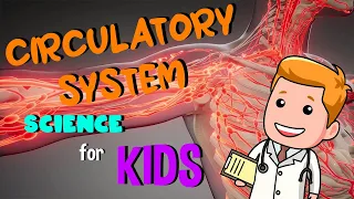 Circulatory System | Science for Kids