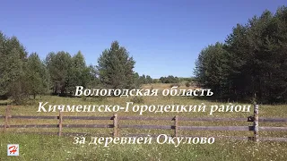 За деревней Окулово (Кичменгско-Городецкий район)