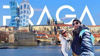 PRAGA: NON PERDERTI NULLA  - Viaggio nella città delle meraviglie & Happy birthday Lety