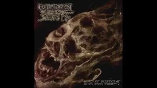 PUTREFACTION SETS IN – REPUGNANT INCEPTION OF DECOMPOSING PAROXYSM – FULL-LENGTH ALBUM 2022.