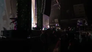 Red Hot Chili Peppers - "I Wanna Be Your Dog" (The Stooges Cover) (Live @ Ohana Festival 2019)