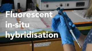 Fluorescent in-situ hybridisation