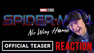 Spider-Man - No Way Home Teaser Trailer REACTION