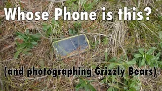 Lost and Found in the Forest | And Photographing Grizzly Bears