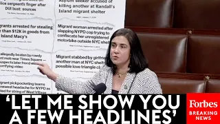 'Outrageous!': Nicole Malliotakis Reacts To Migrants Attacking NYPD Officers In Times Square