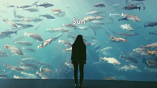 Sigrid - Sun  (Lyrics Video)