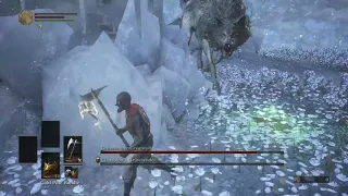 Champions Gravetender/Greatwolf SL1 NG+7 - No Roll/Block/Parry