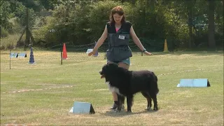 Rally Obedience Turnier 09 07 23  Susan & Joschi