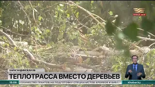 Реконструкция теплосетей в Темиртау приводит к массовой вырубке деревьев