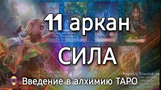 11 аркан Сила | Алхимическое значение старшего аркана таро