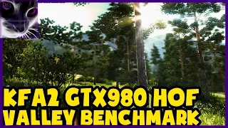 GTX 980 (Hall of Fame) Valley Benchmark with Extreme HD Preset