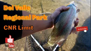 Episode 82: New weapon in play for rainbows at Lake Del Valle @ NoSkunkAdventures