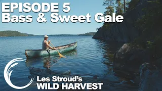 Survivorman | Les Stroud's Wild Harvest | Season 1 | Episode 5 | Bass & Sweet Gale