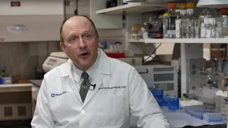 Meet our Staff: Thaddeus Stappenbeck, MD, PhD, Inflammation & Immunity