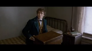 Fantastic Beasts And Where To Find Them - Official® Teaser 1 [HD]