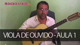 Aprenda a tocar viola de ouvido   Aula 1 as notas musicais