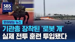기관총 장착된 '로봇 개', 실제 전투 훈련 투입됐다  / SBS / 모아보는 뉴스