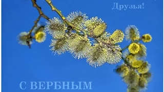 С Вербным Воскресеньем, Счастья, Любви Вам Друзья!!!