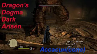 Dragon's Dogma Dark Arisen.Ассасин(соло)