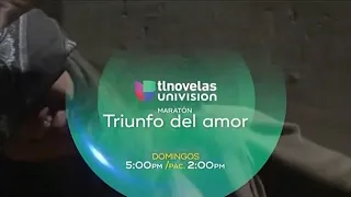 Maratón: Triunfo Del Amor | Univision Tlnovelas