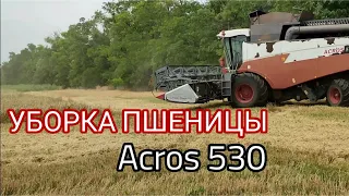Уборка пшеницы. Комбайн Acros 530.