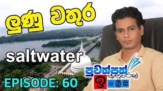 Newspaper E: 60 | පත්තරය ඇසුරෙන් ඉංග්‍රීසි සංවර්ධනය  | saltwater | ලුණු වතුර | #srilankanenglish