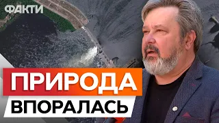 Утворилися унікальні ЗАПЛАВНІ ЛІСИ: Каховське ВОДОСХОВИЩЕ ЗАРАЗ