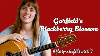 Garfield's Blackberry Blossom - Charlotte Carrivick