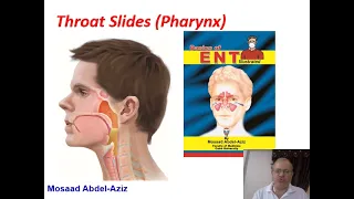 Throat Slides (1) Mosaad Abdel Aziz Pharynx 2021 Video